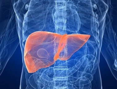 Το συκώτι θέλει μεγάλη προσοχή – Φυσικοί τρόποι για να έχετε υγιές ήπαρ